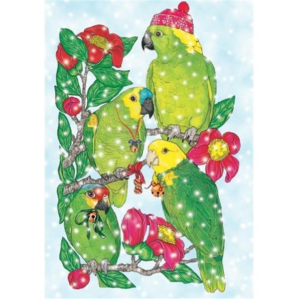 Pipsqueak Productions Pipsqueak Productions C872 Amazon Holiday Bird Christmas Boxed Cards - Pack of 10 C872